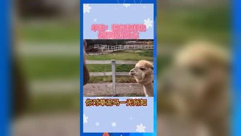 娱乐吃瓜音频,跟随吃瓜音频，探寻明星幕后故事  第2张