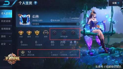 北凉王者最新爆料视频,揭秘神秘势力与神秘英雄的传奇故事  第3张
