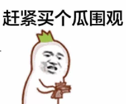吃瓜女官全集免费,揭秘宫廷秘闻，免费畅读宫廷风云录