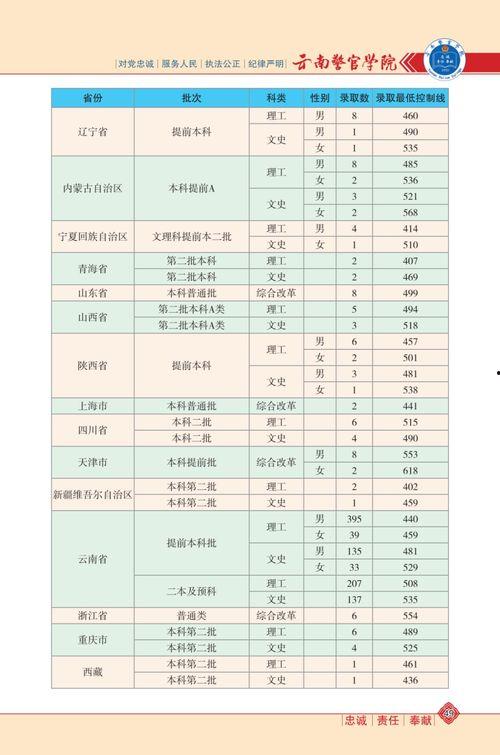 新武装人偶爆料视频大全,视频大全深度解析  第2张
