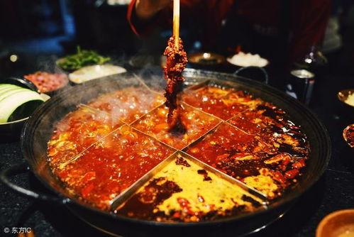 火锅店材料爆料怎么做视频,揭秘视频制作背后的秘密  第3张