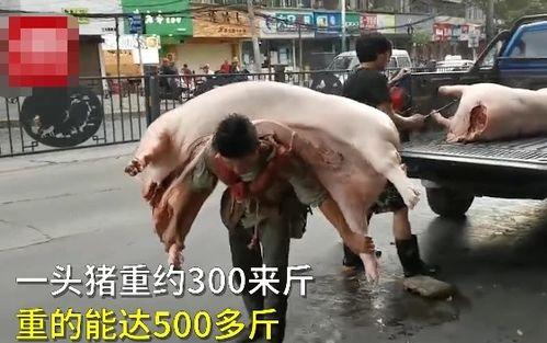 男三斤爆料大哥洗米视频,洗米哥洗米视频背后的故事  第2张