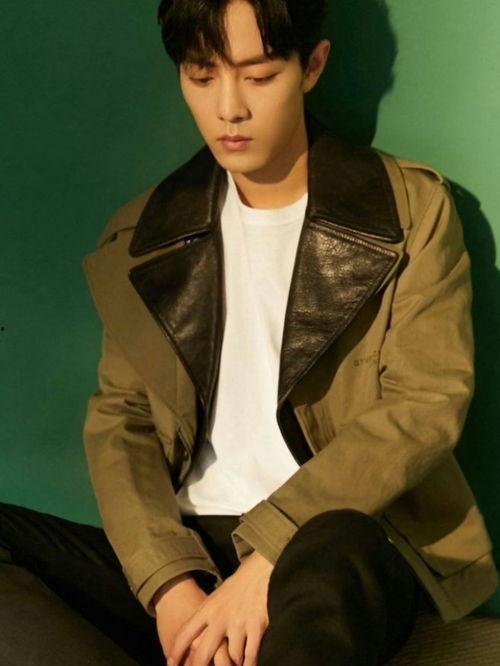 肖战感情爆料视频大全,揭秘视频大全背后的真相与争议  第1张